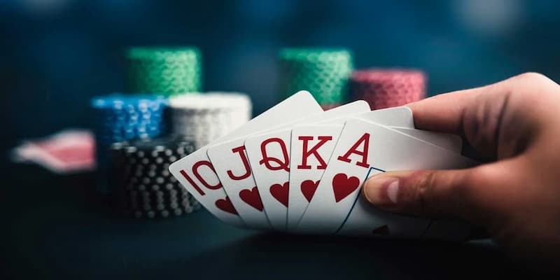 Giải đáp thắc mắc khi đăng nhập 11bet